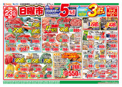 2025/03/23　日替りセ-ル