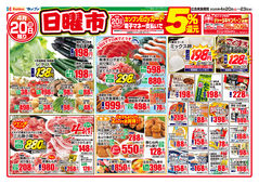 2025/04/20　日替りセ-ル