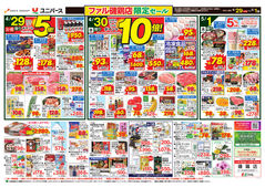 2025/04/29　ファル磯鶏店限定セール