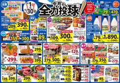 6月 今月の全力投球！＆ショッキングプライス!!