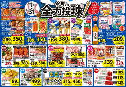 8月 今月の全力投球！＆ショッキングプライス！
