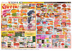 2025/09/02　今、おすすめ！