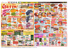 2025/09/02　今、おすすめ！