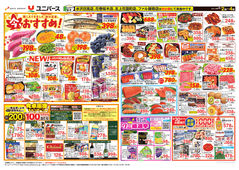 2025/09/02　今、おすすめ！