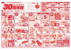 
									2026/03/26　
									30周年祭