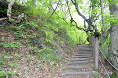 ���򐴐��ւ̓�